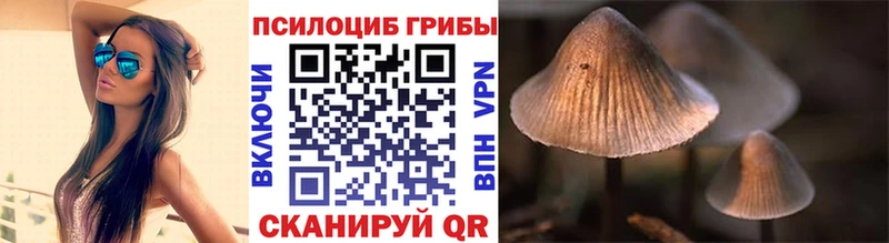 Псилоцибиновые грибы GOLDEN TEACHER  цена   это Telegram  Белоусово  МЕГА ТОР 